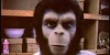 Roddy Mcdowall’s Home Movies From “Planet Of The Apes” (1968)