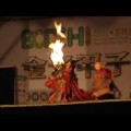 Amazing Kung-Fu Puppets From Taiwan