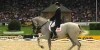 Hip Hop Dressage