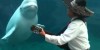 ‪Mariachi Connecticut Serenades a Beluga Whale‬‏ – YouTube