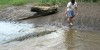 Man Feeding Crocodile‬‏