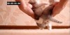 Kitty Crash Test