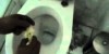 Toilettenreinigung Auf Höchstem Niveau