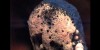 A Match Catches Fire At 2000 FPS – Close Up