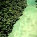 Amazing Helicopter Skills