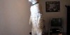 Standing Cat is watching you