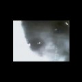 Real Alien Caught During Skype Video Conversation! Scary!