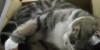 Maru Greatest Hits V1